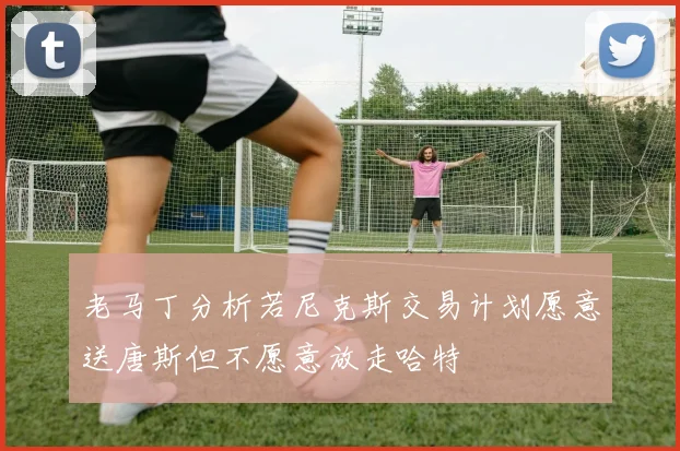 老马丁分析若尼克斯交易计划愿意送唐斯但不愿意放走哈特