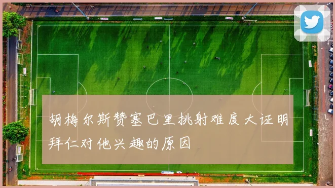 胡梅尔斯赞塞巴里挑射难度大证明拜仁对他兴趣的原因