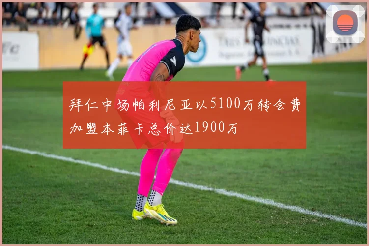 拜仁中场帕利尼亚以5100万转会费加盟本菲卡总价达1900万